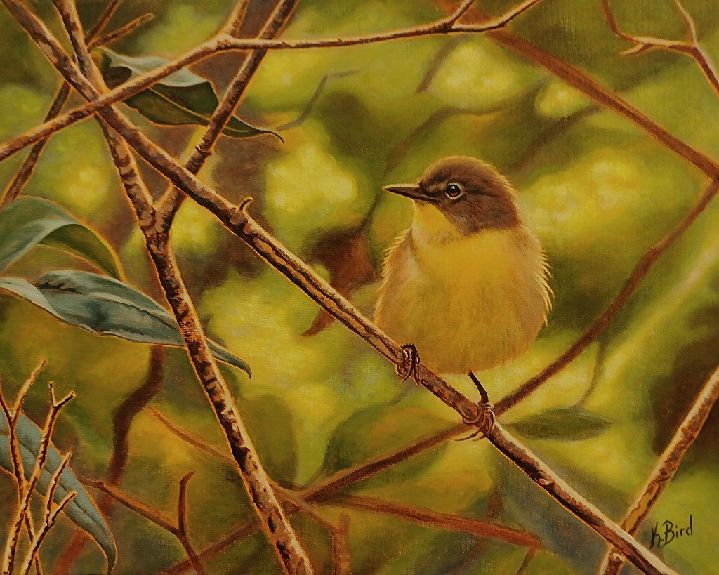 Female Common Yellowthroat
