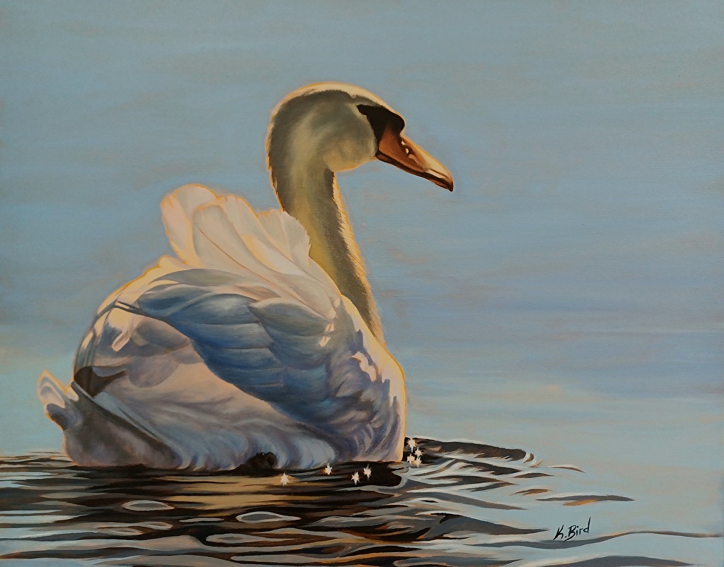 Still Waters