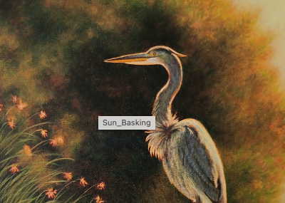 Sun Basking